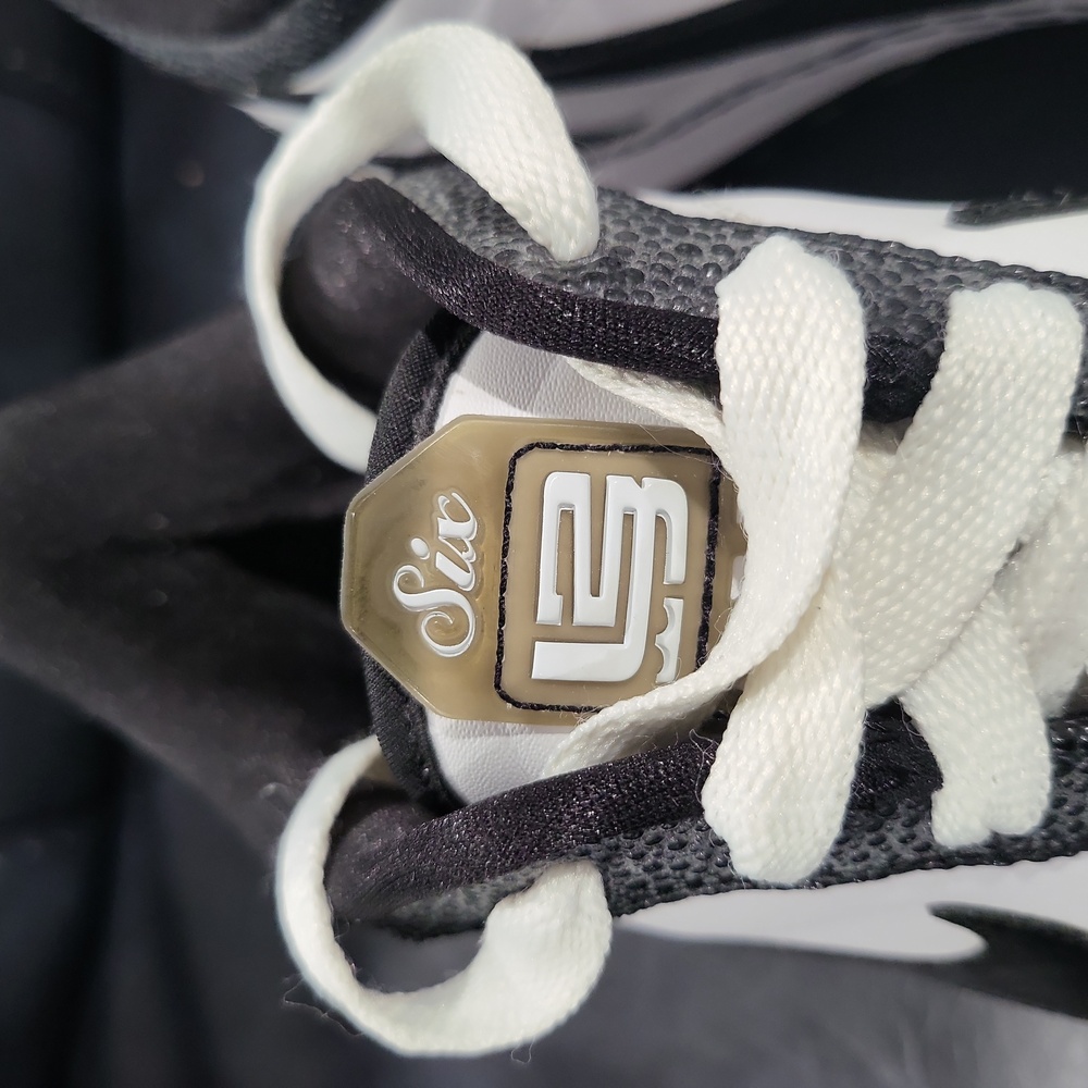 Nike Lebron VI Low "White Black" - Picture 4 of 15